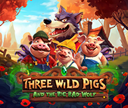 Three Wild Pigs and The Big Bad Wolf